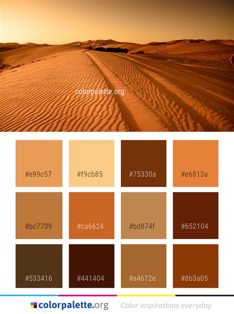 Desert Erg Aeolian Landform Color Palette