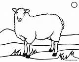 Sheep Coloring Pages Printable Lamb Face Kids Easter Cool2bkids Clipartmag Drawing sketch template