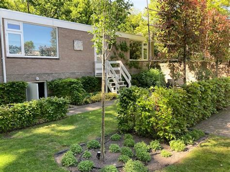 appartement bos bed  dongen guesthouses te huur  dongen noord brabant nederland airbnb