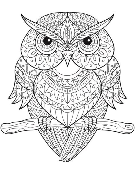 pin  barbara  coloring owl owl coloring pages mandala coloring