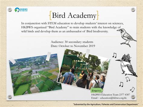 nature education hong kong bird watching society