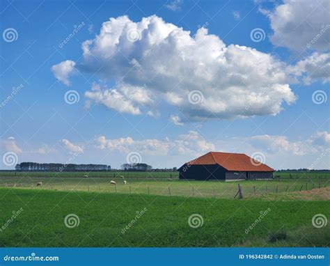 nederlandse vlakke landbouwgrond  de zomer stock foto image  schilderij wolk