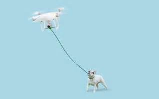 extremely dangerous  dog walking drone pulled  sale  pr stunt backfires ibtimes uk