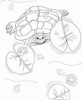 Eared Printout Turtle sketch template