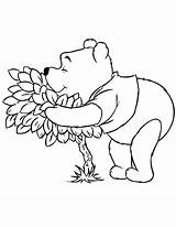 Coloring Pages Pooh Halloween Winnie Smell Popular Colouring Library Clipart Coloringhome sketch template