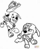 Coloring Paw Patrol Pages Marshall sketch template