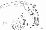 Andalusian Friesian Chronically sketch template