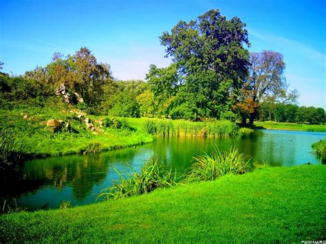 Nature Background Wallpaper - HD Wallpapers Blog