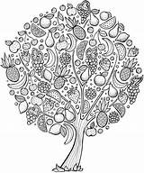 Coloring Tree Pages Fruit Adults Color Adult Colouring Printable Mandalas Cherry Rocks Ross Bob Print Kids Book Roots Fruits Dibujar sketch template