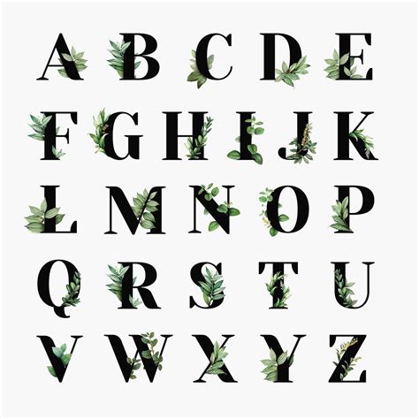 premium image  botanical capital alphabet collection  aum