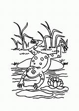 Frog Pond Coloring Pages Lily Pad Jump Frogs Kids Sit After Color Colorluna Life Theme Water Book Popular sketch template