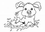 Pig Coloring Pages Pigs Template Easter Animal Clipart Animated Templates Cute Cliparts Coloringpages1001 Library Gifs Categories Similar sketch template