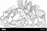 Verduras Colorare Frutta Verdura Alimentos Nero Blanco Branco Frutos Vitamins Abarrotes Legumes Aliment Vitamines Swarthy Grupo Caricatura Hortícolas Invernale Ilustração sketch template