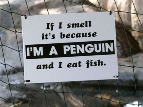 funny animal signs   funcage