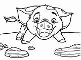 Moana Coloring Pig Pua Pages Face Drawing Disney Color Printable Colouring Easy Online Rocks Cartoon Print Getdrawings Coloringpagesonly Animal Kids sketch template