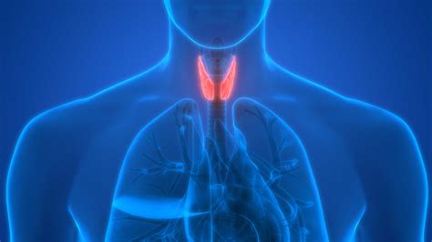thyroid disease  diabetes    thyroid  hypothyroidism