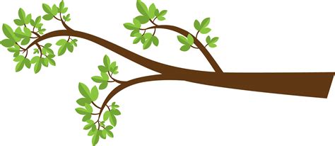 branch branches clipart clipground