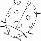 Ladybug Coloring Pages Color Animal Lady Bug Print Back sketch template
