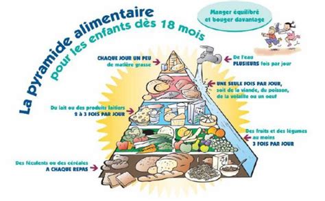 Menus Types élaborés Sur Base De La Pyramide Alimentaire