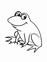 Coloring Frog Pages Cute Reptile Preschool Clipart Clipartbest sketch template