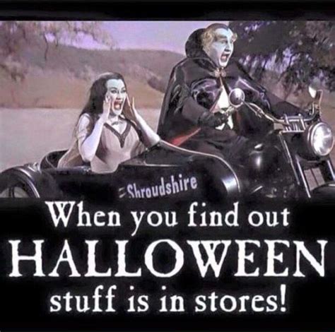 Pin By C J Crandall On Witchy Woman Halloween Funny Halloween