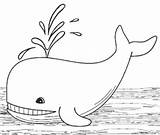Whale Coloring Pages Sperm Line Drawing Kids Printable Cool2bkids Paintingvalley sketch template