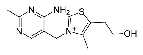 thiamine psychology wiki fandom powered by wikia