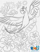 Coloring Pages Rio Macaw Blue Scarlet Sheets Giveaway sketch template