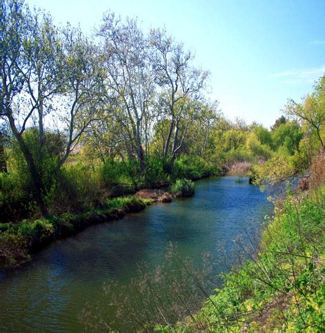 healthy creeks sustainable san jose