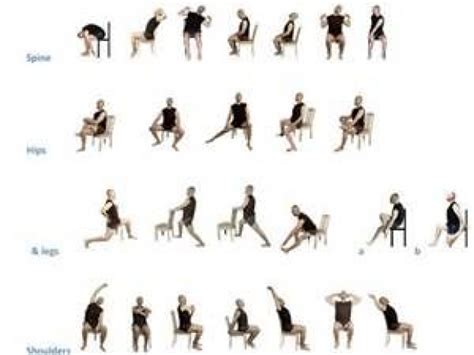 printable chair exercises  seniors bing images dynamicstretching