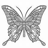 Mandala Coloring Pages Butterfly Printable Adult Adults Insect Sheets Colouring Color Book Books Kids Flower Fairy Peaksel Zentangle Save Bible sketch template