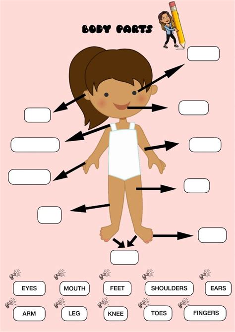 body parts interactive activity   infantil