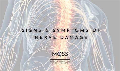 signs symptoms  nerve damage modern orthopedic spine specialists
