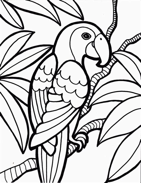 bird coloring pages bird coloring pages printable coloring pages