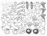Coloring Fruits Pages Vegetables Fruit Print Printable Kids Library Clipart sketch template