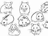 Hamster Ausmalbilder Zwei Kopf Krone sketch template