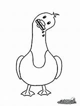 Drawing Seagull Seagulls Getdrawings Coloring sketch template
