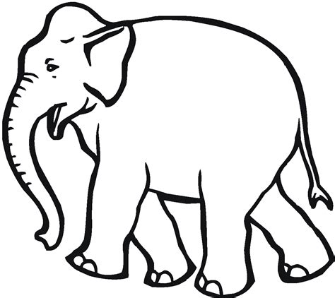 elephant coloring pages  creative young educative printable