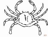 Crab Coloring Pages Crabs Printable Kids Color Crustacean Supercoloring sketch template