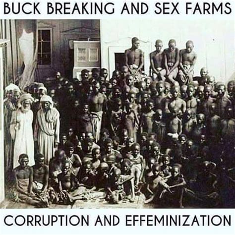 sex farms during slavery and the effeminization of black men