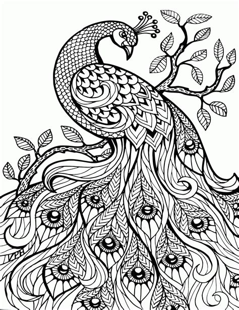 coloring pages  adults printable easy  color animals