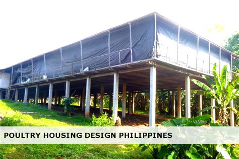 filipino poultry house poultry house poultry philippines