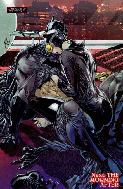 The New Catwoman Of Dc Comics The New 52 Having Sex With