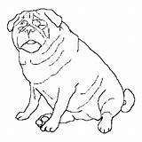 Dog Coloring Pug Pages Fat Realistic Big Red Color Clifford Newfoundland Drawing Printable Puppy Cat Husky Print Dogs Pugs Cute sketch template