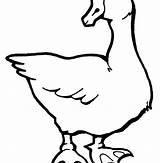 Geese Getdrawings sketch template