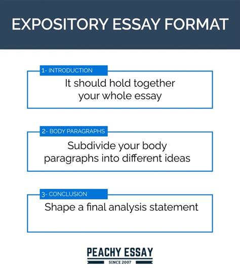 write  expository essay