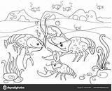 Gamberi Crayfish Colorati Stampare sketch template