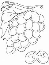 Grapes Colorir Weintrauben Ausmalbilder Uvas Grape Cricut Berries Malvorlagen sketch template