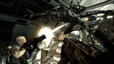 Buy Alien Vs Predator Collection Pc Game Steam Download