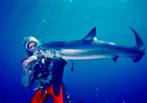 New Documentary Recalls How Valerie Taylor Played With Sharks To Prove